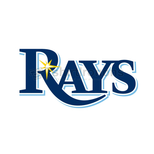 Tampa Bay Rays T-shirts Iron On Transfers N1955